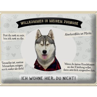 Blechschild Spruch 40x30cm Tiere Husky willkommen wohne hier