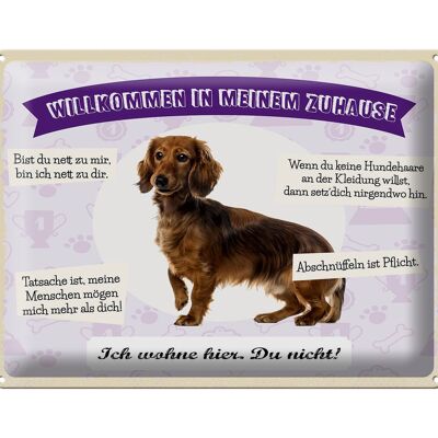 Cartel de chapa que dice 40x30cm animales dachshunds bienvenidos viven aquí