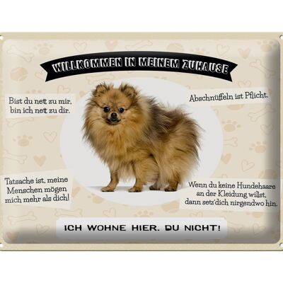 Blechschild Spruch 40x30cm Tiere Spitz willkommen wohne hier