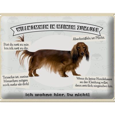 Blechschild Spruch 40x30cm Tiere Hund ich wohne hier du nicht