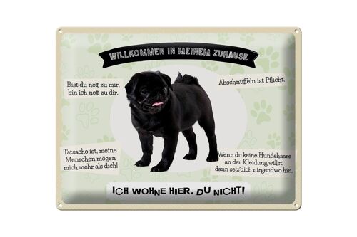 Blechschild Spruch 40x30cm Tiere Mops willkommen Zuhause