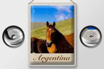 Signe en étain voyage 30x40cm, argentine, chevaux de prairie, vacances 2