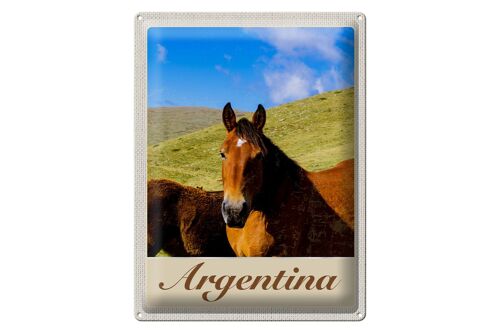 Blechschild Reise 30x40cm Argentinien Wiese Pferde Urlaub