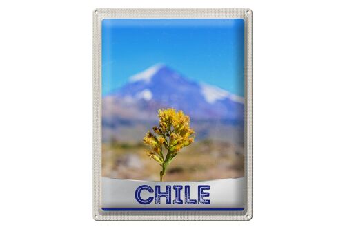 Blechschild Reise 30x40cm Chile Blume Gebirge Urlaub