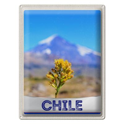 Cartel de chapa de viaje, 30x40cm, Chile, flores, montañas, vacaciones