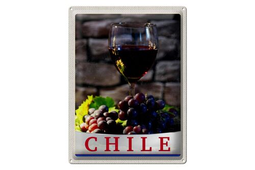 Blechschild Reise 30x40cm Chile Wein Trauben Tradition Urlaub