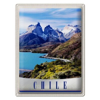 Blechschild Reise 30x40cm Chile Gebirge Meer Natur Schnee