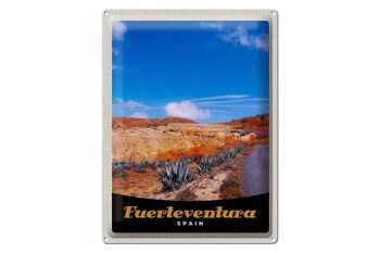 Signe en étain voyage 30x40cm Fuerteventura espagne montagnes du désert 1