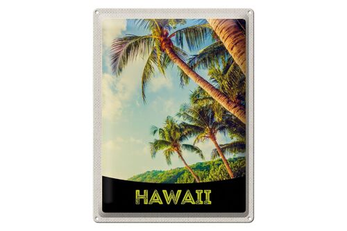 Blechschild Reise 30x40cm Hawaii Insel Strand Palmen Meer