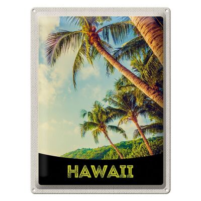 Targa in metallo da viaggio 30x40 cm Hawaii Island Beach Palme Mare