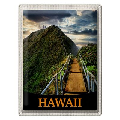 Cartel de chapa de viaje, 30x40cm, isla de Hawaii, playa, palmeras, naturaleza