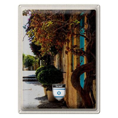 Blechschild Reise 30x40cm Israel Stadt Pflanzen Urlaub