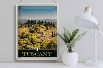 Signe en étain de voyage, 30x40cm, toscane, italie, Finca, champs de vin 3