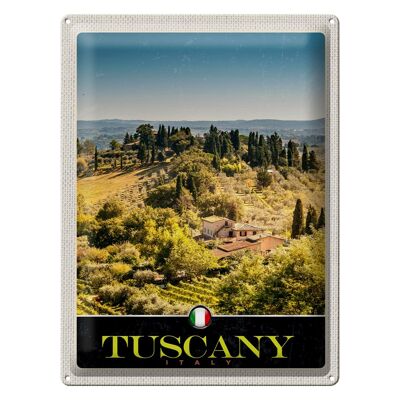 Blechschild Reise 30x40cm Toskana Italien Finca Weinfelder