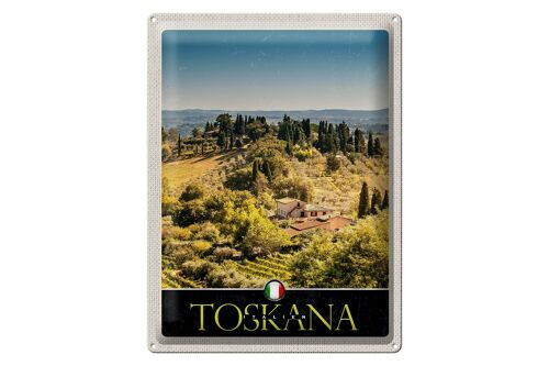 Blechschild Reise 30x40cm Toskana Italien Natur Weinfelder