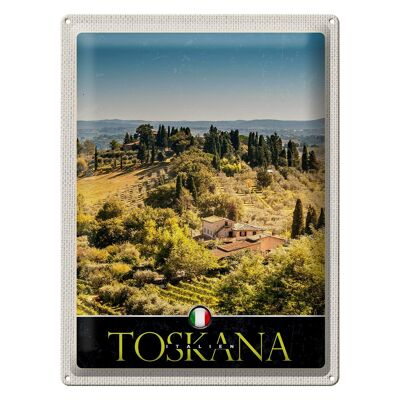 Cartel de chapa de viaje, 30x40cm, Toscana, Italia, naturaleza, campos vitivinícolas