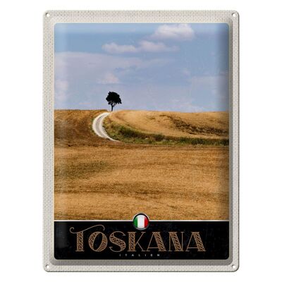 Blechschild Reise 30x40cm Toskana Italien Baum Wiese Natur