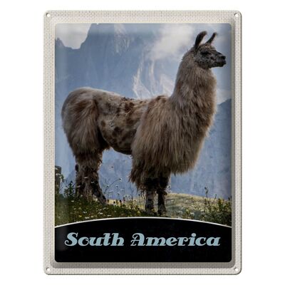 Cartel de chapa de viaje, 30x40cm, América del Sur, pradera de las montañas Lama
