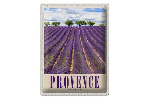Blechschild Reise 30x40cm Provence Frankreich Lila Natur
