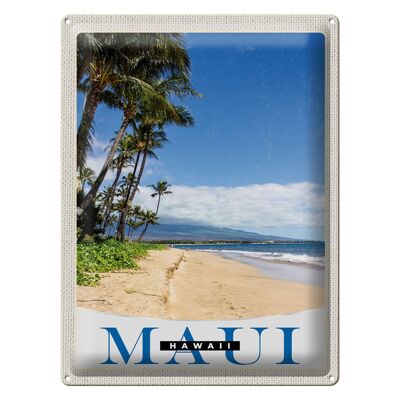Cartel de chapa de viaje, 30x40cm, Maui, Hawaii, isla, playa, olas