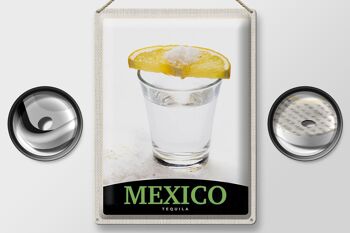 Panneau de voyage en étain, 30x40cm, mexique, états-unis, amérique, Tequila, citron 2