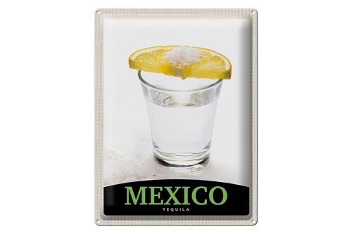 Blechschild Reise 30x40cm Mexiko USA Amerika Tequila Zitrone