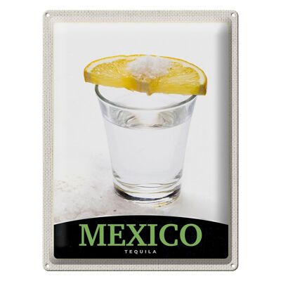Targa in metallo da viaggio 30x40 cm Messico USA America Tequila Lemon