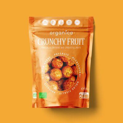 Physalis biologico liofilizzato