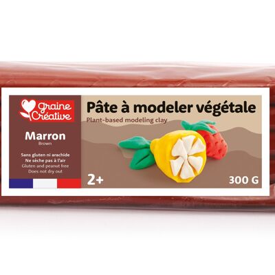 PASTA DA MODELLAZIONE VERDURA MARRONE