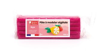 PATE A MODELER VEGETALE ROSE 1