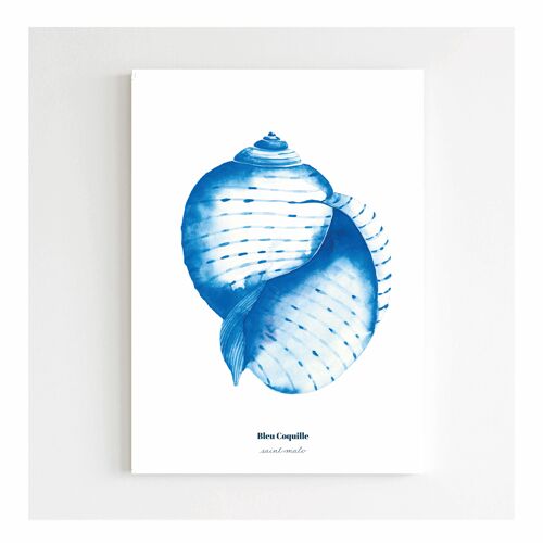 Papeterie Affiche Déco - 14,8 x 21 cm - Conque Bleue