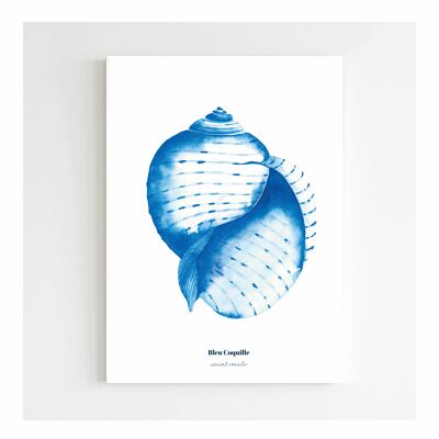 Póster decorativo de papelería - 14,8 x 21 cm - Concha azul