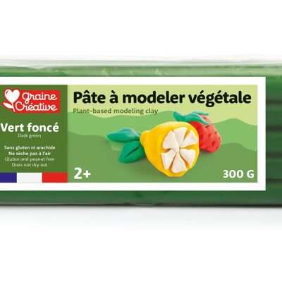 PASTA DA MODELLAZIONE VERDE SCURO