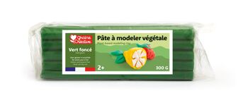 PATE A MODELER VEGETALE VERT FONCE 1