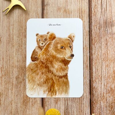 carte postale aquarelle ours