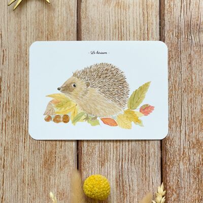 watercolor hedgehog postcard