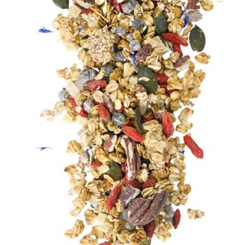 VRAC: Granola Myrtille Gingembre Goji - Seau de 2 Kg 2