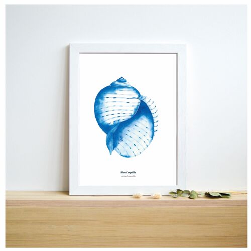 Papeterie Affiche Déco - 21 x 29,7 cm - La Conque Bleue