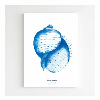 Papeterie Affiche Déco - 30 x 40 cm - Conque Bleue 2