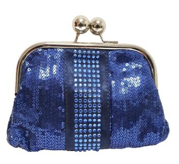 Pochette bleue 1