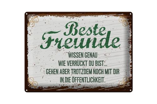 Blechschild Spruch Beste Freunde verrückt wissen genau 30x40cm