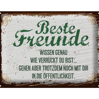 Blechschild Spruch Beste Freunde verrückt wissen genau 30x40cm