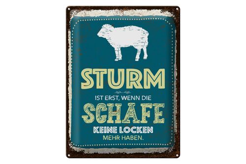 Blechschild Spruch Sturm wenn Schafe keine Locken 30x40cm