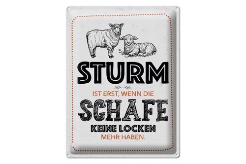 Blechschild Spruch lustig Sturm wenn Schafe Locken 30x40cm