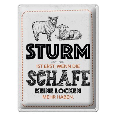 Blechschild Spruch lustig Sturm wenn Schafe Locken 30x40cm