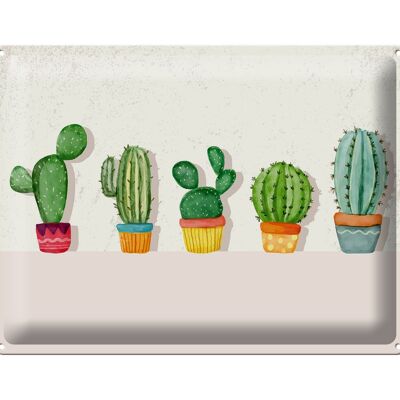 Targa in metallo con scritta 5 cactus vaso da fiori cactus 40x30 cm