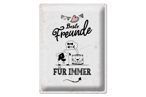 Blechschild Spruch Beste Freunde für immer 30x40cm