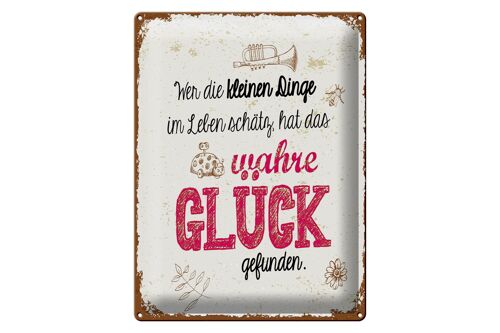 Blechschild Spruch Wer kleine Dinge schätzt hat Glück 30x40cm