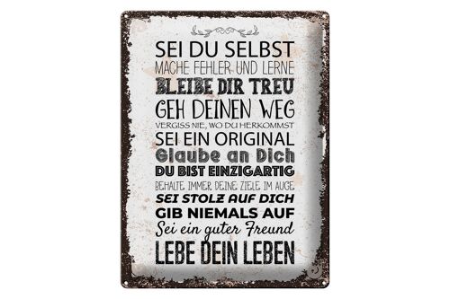 Blechschild Spruch Sei du selbst mache Fehler lerne 30x40cm