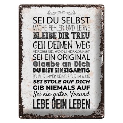 Blechschild Spruch Sei du selbst mache Fehler lerne 30x40cm